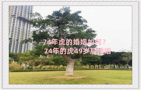 74年虎的婚姻如何？74年的虎49岁后婚姻