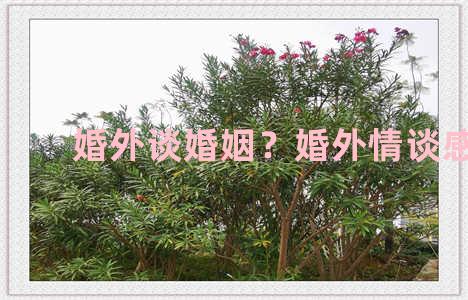 婚外谈婚姻？婚外情谈感情