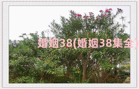 婚姻38(婚姻38集全)