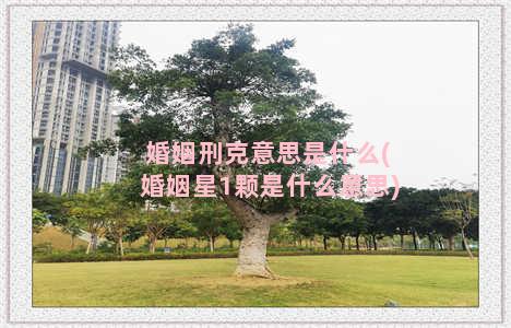 婚姻刑克意思是什么(婚姻星1颗是什么意思)