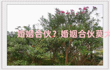 婚姻合伙？婚姻合伙莫大意