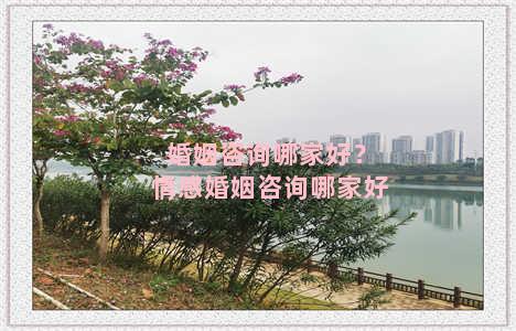 婚姻咨询哪家好？情感婚姻咨询哪家好