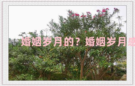 婚姻岁月的？婚姻岁月感悟