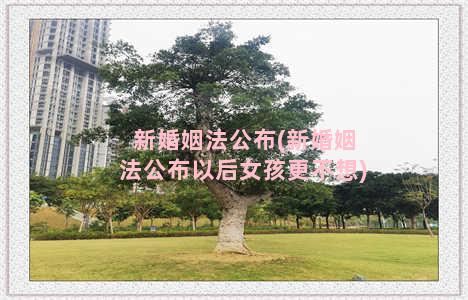 新婚姻法公布(新婚姻法公布以后女孩更不想)