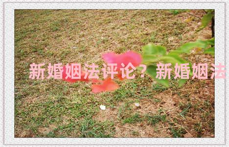 新婚姻法评论？新婚姻法亮点