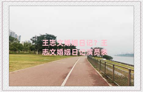 王志文婚姻日记？王志文婚姻日记演员表