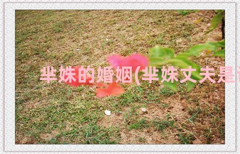 芈姝的婚姻(芈姝丈夫是谁)