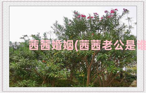 茜茜婚姻(茜茜老公是谁)