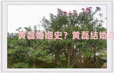 黄磊婚姻史？黄磊结婚几年